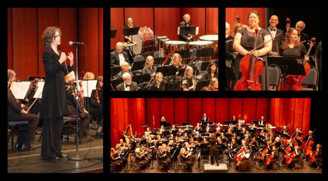 Watch the Orchestra Online